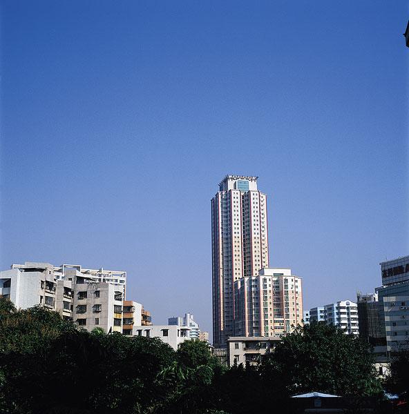 智能遠(yuǎn)傳水表 | 東華大廈